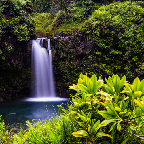 A beautiful waterfall hidden in the jungles of Hawaii discovered on Jaya Travel & Tours Luxurious Hawaii vacation.