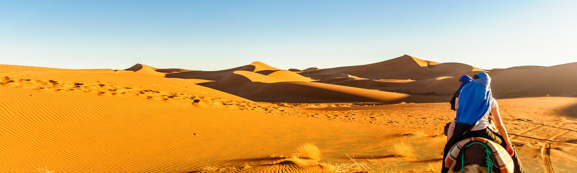Travelers admiring the view of the golden dunes of the Sahara Desert on a camel ride in Merzouga, Morocco with Jaya Travel & Tours.