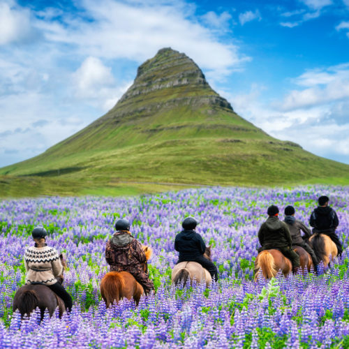 Travelers take a horse riding tour at the Kirkjufell mountain landscape in Iceland on this Jaya Travel & Tours.