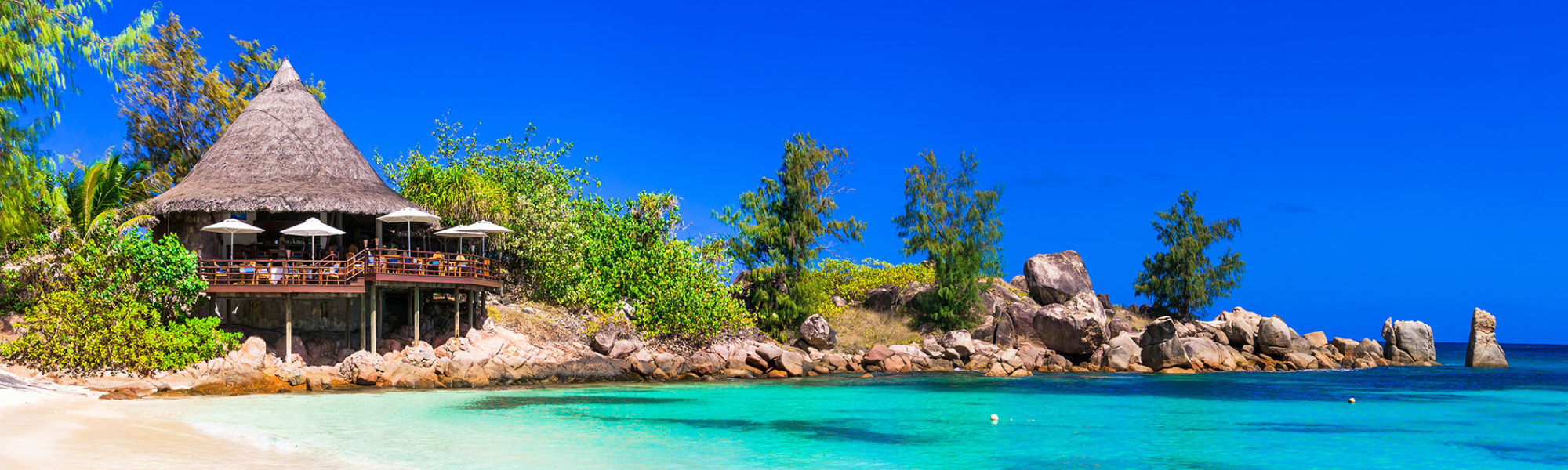 Jaya Travel & Tours with a panorama of the tropical Seychelles island with a cabana and foliage against a sandy beach and brilliant blue ocean.
